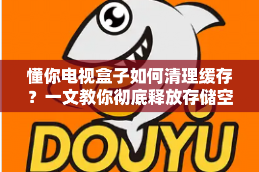 懂你电视盒子如何清理缓存?一文教你彻底释放存储空间、让电视盒子重获新生 懂你电视盒子如何清理缓存?一文教你彻底释放存储空间、让电视盒子重获新生