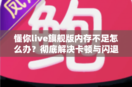 懂你live旗舰版内存不足怎么办？彻底解决卡顿与闪退的实用优化指南