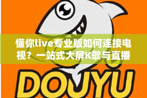 懂你live专业版如何连接电视?一站式大屏K歌与直播体验完整指南 懂你live专业版如何连接电视?一站式大屏K歌与直播体验完整指南