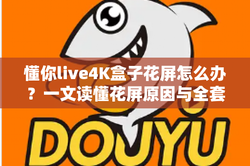 懂你live4K盒子花屏怎么办？一文读懂花屏原因与全套修复方案