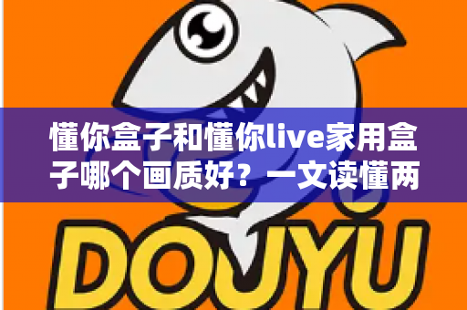 懂你盒子和懂你live家用盒子哪个画质好?一文读懂两款盒子画质差异与选购指南 懂你盒子和懂你live家用盒子哪个画质好?一文读懂两款盒子画质差异与选购指南