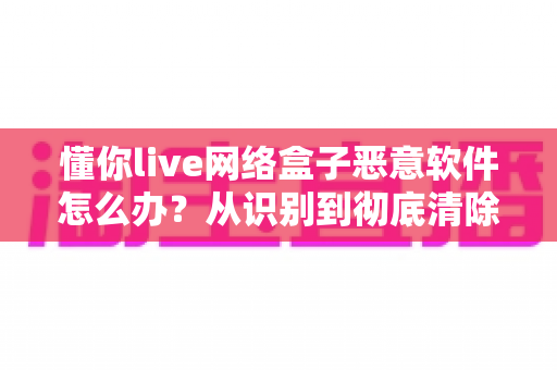 懂你live网络盒子恶意软件怎么办?从识别到彻底清除的完整防护指南 懂你live网络盒子恶意软件怎么办?从识别到彻底清除的完整防护指南