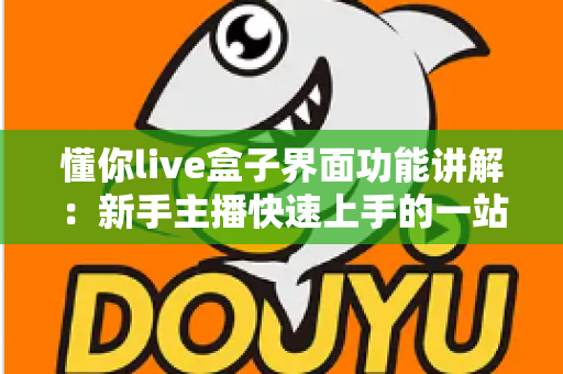 懂你live盒子界面功能讲解：新手主播快速上手的一站式直播操作指南