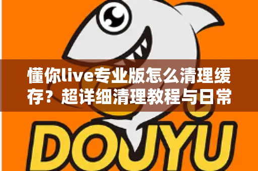 懂你live专业版怎么清理缓存？超详细清理教程与日常维护技巧全攻略