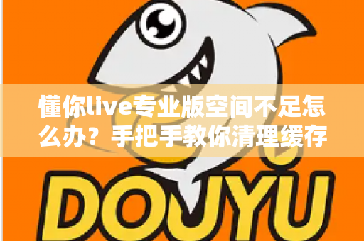 懂你live专业版空间不足怎么办？手把手教你清理缓存与扩容的实用指南
