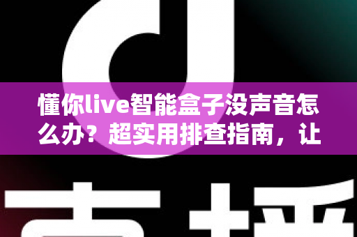 懂你live智能盒子没声音怎么办？超实用排查指南，让你快速找回清晰音效