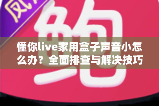 懂你live家用盒子声音小怎么办？全面排查与解决技巧一网打尽