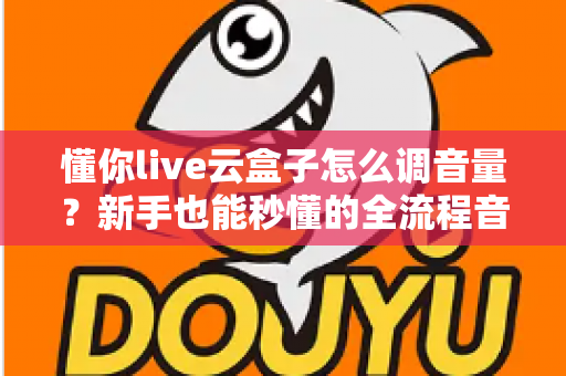 懂你live云盒子怎么调音量?新手也能秒懂的全流程音量调节指南 懂你live云盒子怎么调音量?新手也能秒懂的全流程音量调节指南