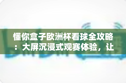 懂你盒子欧洲杯看球全攻略：大屏沉浸式观赛体验，让每一个精彩瞬间都不被辜负