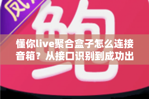 懂你live聚合盒子怎么连接音箱?从接口识别到成功出声的完整实操指南 懂你live聚合盒子怎么连接音箱?从接口识别到成功出声的完整实操指南