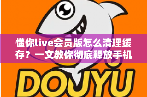 懂你live会员版怎么清理缓存？一文教你彻底释放手机空间、让直播播放更流畅