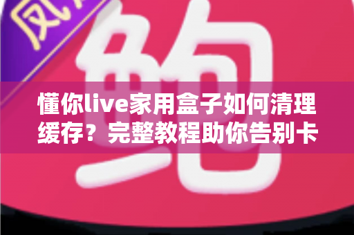 懂你live家用盒子如何清理缓存?完整教程助你告别卡顿,让电视盒子焕然一新 懂你live家用盒子如何清理缓存?完整教程助你告别卡顿,让电视盒子焕然一新