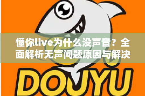 懂你live为什么没声音?全面解析无声问题原因与解决方案指南 懂你live为什么没声音?全面解析无声问题原因与解决方案指南