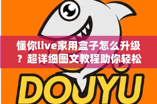 懂你live家用盒子怎么升级？超详细图文教程助你轻松完成系统更新，畅享极致观影体验