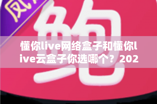 懂你live网络盒子和懂你live云盒子你选哪个？2025最新选购指南与深度对比分析