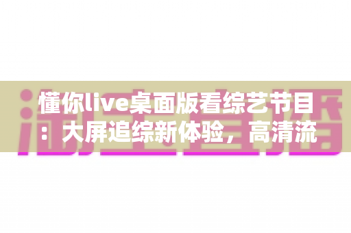 懂你live桌面版看综艺节目：大屏追综新体验，高清流畅一站式观看指南