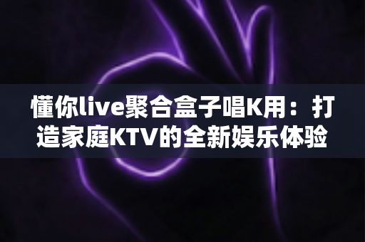 懂你live聚合盒子唱K用：打造家庭KTV的全新娱乐体验