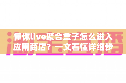 懂你live聚合盒子怎么进入应用商店?一文看懂详细步骤与常见问题全解析 懂你live聚合盒子怎么进入应用商店?一文看懂详细步骤与常见问题全解析
