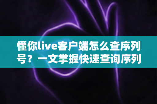 懂你live客户端怎么查序列号?一文掌握快速查询序列号的完整方法与安全使用指南 懂你live客户端怎么查序列号?一文掌握快速查询序列号的完整方法与安全使用指南