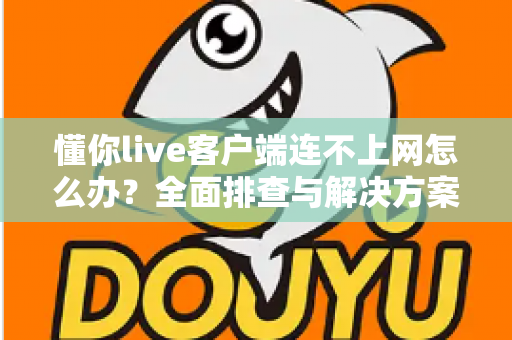 懂你live客户端连不上网怎么办？全面排查与解决方案大全，助你快速恢复观看体验