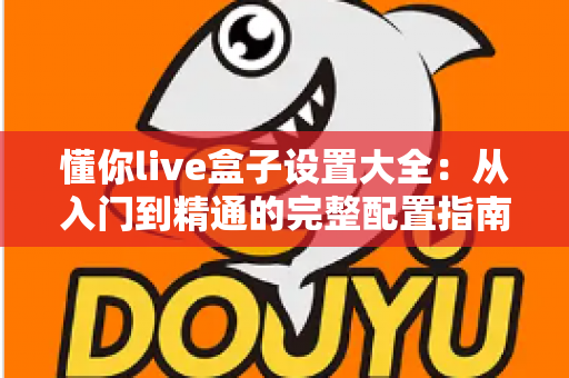 懂你live盒子设置大全：从入门到精通的完整配置指南，手把手教你玩转每一个设置项