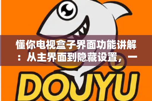 懂你电视盒子界面功能讲解：从主界面到隐藏设置，一篇带你玩转每个功能角落