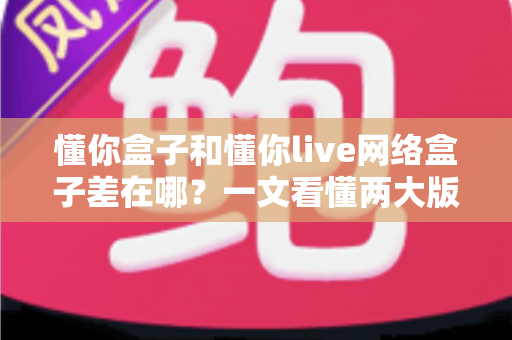 懂你盒子和懂你live网络盒子差在哪?一文看懂两大版本的核心区别与选购指南 懂你盒子和懂你live网络盒子差在哪?一文看懂两大版本的核心区别与选购指南
