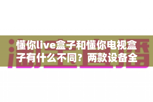 懂你live盒子和懂你电视盒子有什么不同?两款设备全方位对比与选购指南 懂你live盒子和懂你电视盒子有什么不同?两款设备全方位对比与选购指南