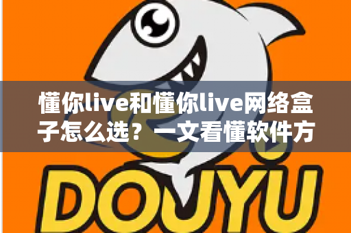 懂你live和懂你live网络盒子怎么选?一文看懂软件方案与硬件方案的区别、优劣势与选购攻略 懂你live和懂你live网络盒子怎么选?一文看懂软件方案与硬件方案的区别、优劣势与选购攻略