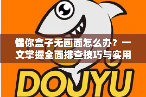 懂你盒子无画面怎么办？一文掌握全面排查技巧与实用解决方法