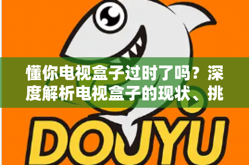 懂你电视盒子过时了吗？深度解析电视盒子的现状、挑战与未来价值